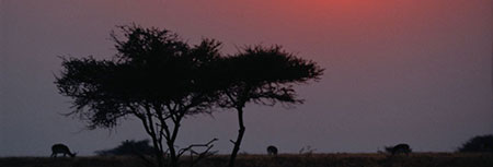Image medtravel